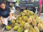 penjual-durian-di-pagaralam.jpg
