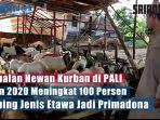 penjualan-hewan-kurban-di-pali-tahun-2020-meningkat-100-persen-kambing-jenis-etawa-jadi-primadona.jpg