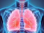 penyakit-paru-paru_20181012_195009.jpg