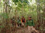 petani-diserang-beruang.jpg