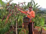 petani-kopi-di-okus.jpg