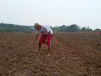 petani-singkong-di-oku-timur.jpg