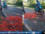 petani-tomat-kota-pagaralam-sumsel-buang-di-jalan.jpg
