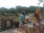 pohon-tumbang_20151126_202913.jpg