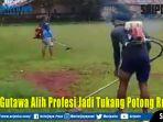 potong-rumput.jpg