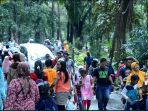 ramai-punti-kayu_20180101_231813.jpg