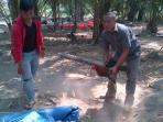 sabung-ayam-di-pendopo-empatlawang_20150831_075255.jpg
