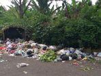 sampah-menumpuk-ditepi-jalan.jpg