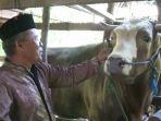 sapi-berbobot-12-ton-dibeli-jokowi.jpg