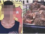 PENCURI Ini Pasrah Dikepung Team Tarantula Polsek Rambang Dangku di Hutan, Gasak 80 Tandan Sawit