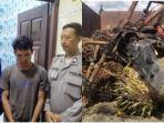 sawit-perusahaan-dicuri.jpg