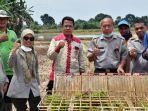 smk-pp-negeri-sembawa-sebagai-unit-pelaksana-teknis-upt-bppsdmp-turut-mendukung-program-kostratani.jpg