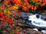 sungai-di-musim-gugur-di-ontario-kanada.jpg