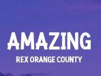 translate-lirik-lagu-Amazing-Rex-Orange-Country.jpg