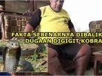 ular-kobra-serang-pemukiman-seorang-warga-mengaku-digigittubuhnya-bengkak-begini-fakta-sebenarnya.jpg