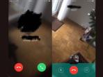 video-calling-whatsapp_20151223_110642.jpg