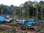 wilayah-maining-33-salah-satu-lokasi-tambang-rakyat-di-korowai.jpg
