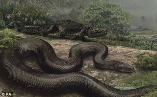 Ular Titanoboa Muncul di New York - titan.jpg