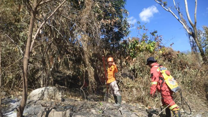 Badan Penanggulangan Bencana Daerah (BPBD) Parigi Moutong bersama Tim Manggala Agni terus melakukan penanganan kebakaran hutan dan lahan (karhutla) yang masih terjadi di wilayah pegunungan, Kamis (5/2/2026).
