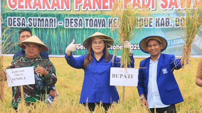 Dukung Swasembada Pangan, Bupati Donggala Panen Padi dan Tinjau Irigasi di Desa Sumari