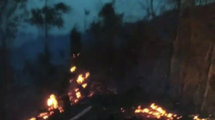 Api Karhutla di Avolua Parigi Mout Merambat