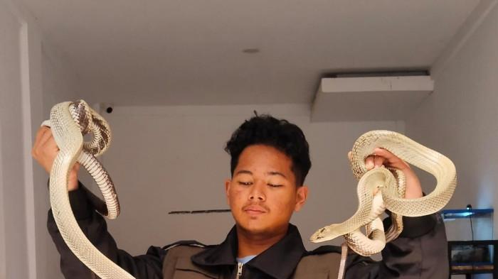 Evolux Project Petakan 29 Spesies Ular dan Ekotipe Unik di Sigi Hingga Lembah Palu