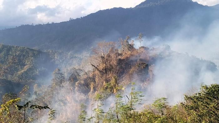 Kebakaran Hutan di Ambason Mekar Parigi Moutong, Api Mendekati Permukiman