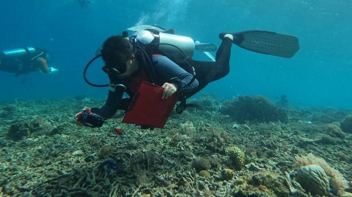 Gandeng Warga dan Relawan, PT IMIP Rehabilitasi Terumbu Karang Sombori Morowali - Rehabiltiasi-Terumbu-karang-Sombori-2025.jpg