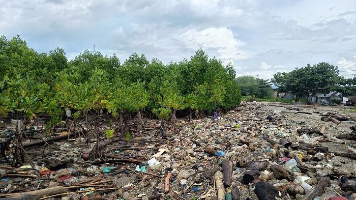 Sampah Pesisir Pantai Dupa Palu Merusak Ekosistem dan Ganggu Aktivitas Nelayan