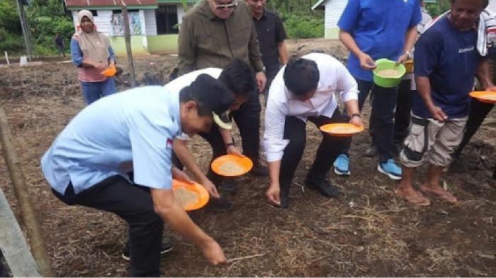 TANAM PADI PEMKAB KONAWE