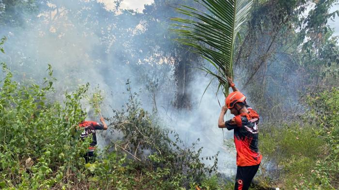 Tiga Kebakaran Hutan dan Lahan Terjadi di Parigi Moutong, Dua Hektare Lahan Terbakar