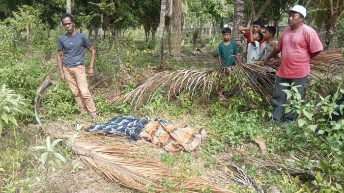 Warga Temuka Mayat Remaja di Perkebunan Kelapa Desa Avolua Parigi Moutong