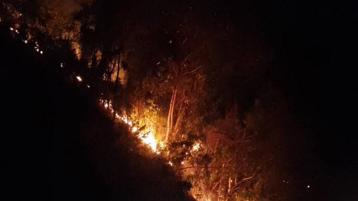 Kebakaran hutan dan lahan (karhutla) terjadi di Desa Labuan Donggulu, Kecamatan Kasimbar, Kabupaten Parigi Moutong, Sulawesi Tengah Rabu (25/2/2026) sekitar pukul 21.30 WITA.