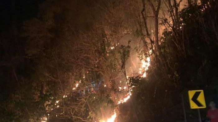 Kebakaran hutan dan lahan (karhutla) terjadi di Desa Labuan Donggulu, Kecamatan Kasimbar, Kabupaten Parigi Moutong, Sulawesi Tengah Rabu (25/2/2026) sekitar pukul 21.30 WITA.