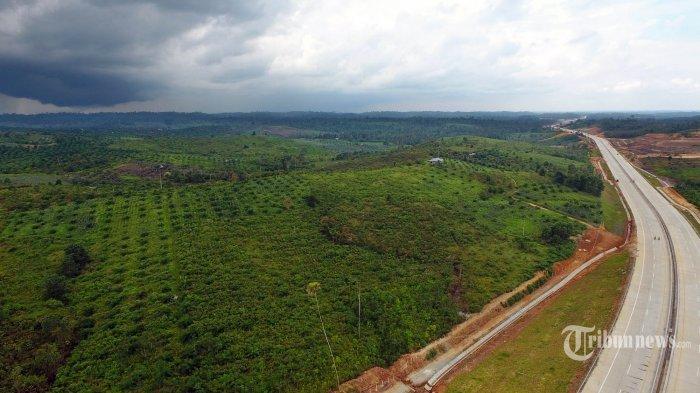 Belajar dari Brazil, Bappenas Sebut Ibukota Baru Indonesia di Kalimantan akan Berkonsep Forrest City