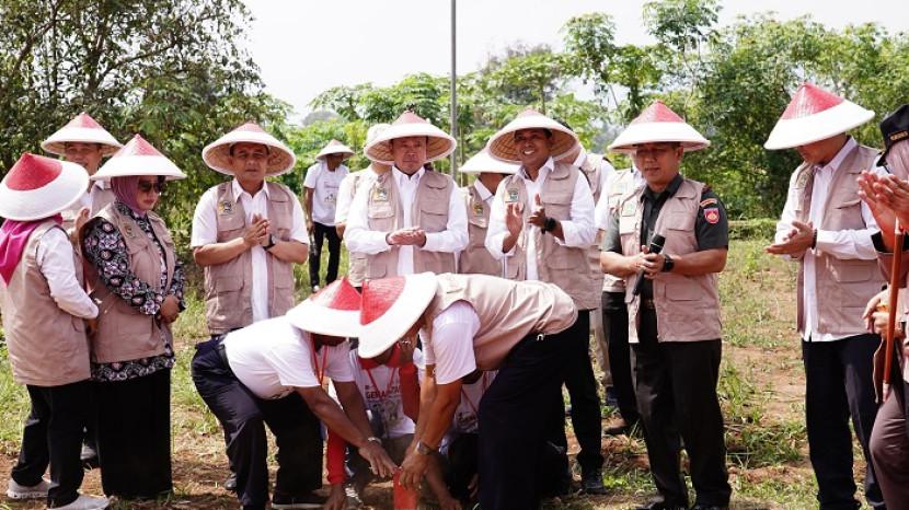 Tribun