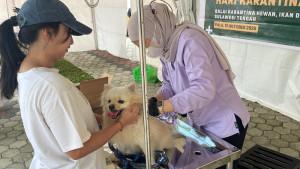 Antusias-Masyarakat-Tinggi-Kuota-Vaksinasi-Rabies-Gratis-Barantan-Ludes-dalam-3-Jam.jpg