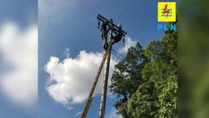 Berkat-kerja-keras-petugas-di-lapangan-dalam-waktf.jpg