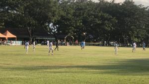 IMG_3908jpeg.jpg