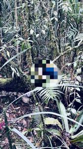 Penemuan-Mayat-Gegerkan-Pendaki-Gunung-Gawalise-Tim-SAR-Bergerak-ke-Lokasi.jpg