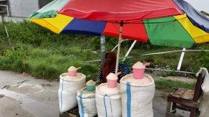 Penjual-garam-talise-Palu-2024.jpg
