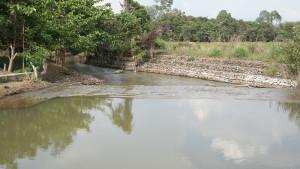 Sungai-towuti-5454.jpg