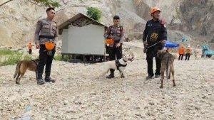 anjing-pelacak-korban-longsor.jpg