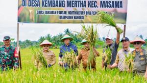 panen-raya-di-masama-banggai-2025.jpg