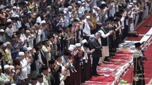 yda7st7ydt-7sa6td76sat76d-tas76d-tsasa.jpg