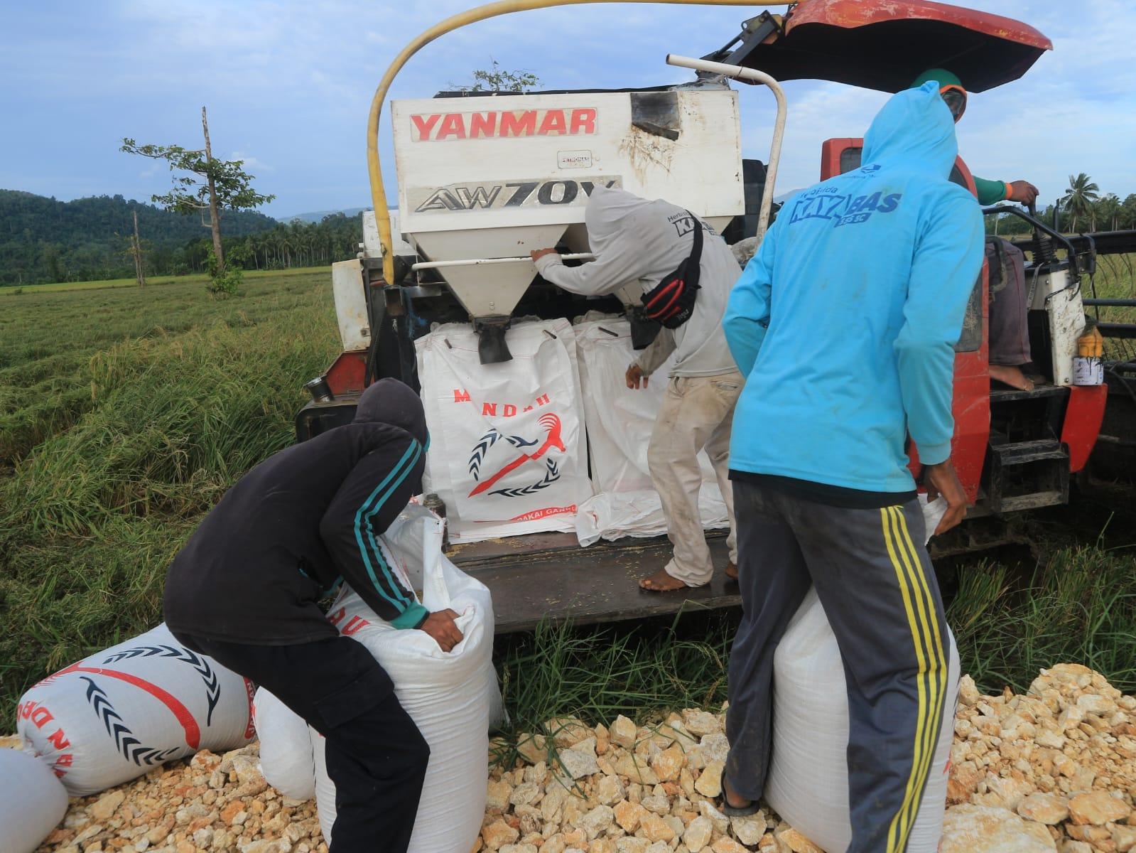 Beras hingga Cabai Rawit Turun, Luwuk Banggai Alami Deflasi