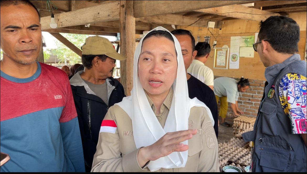 Tinjau Peternakan di Pengawu Pemkot Palu Andalkan Peternak Lokal untuk Program MBG
