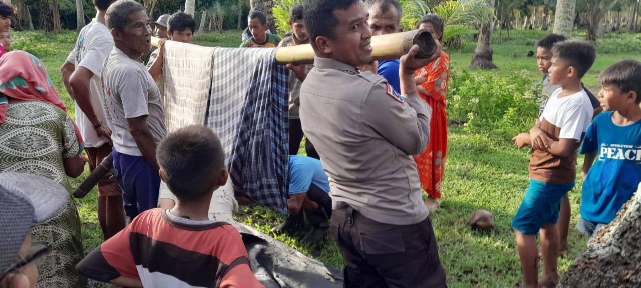 Petani di Nuhon Banggai Tiba-tiba Tewas saat Sensor Kayu