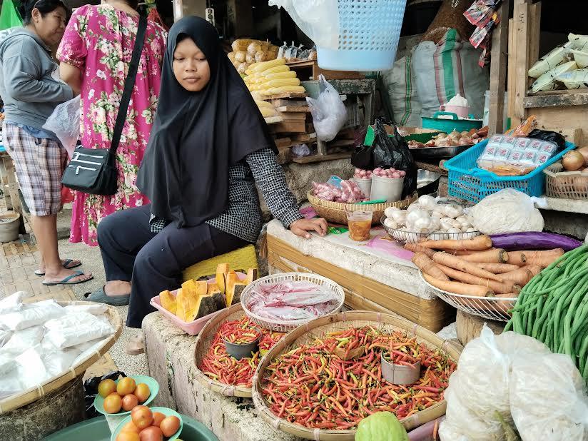 Tingkat Inflasi Sulteng Desember 2025 3,31 Persen, Tolitoli Tertinggi