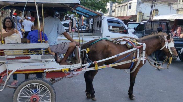 Cerita Fahrul Si Kusir Delman di Kota Palu: Tarik Dokar Sepulang Sekolah, Bercita-cita Jadi Tentara